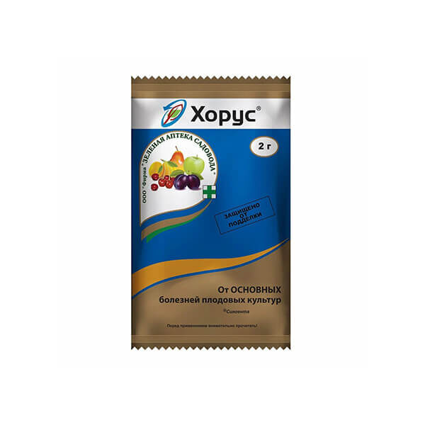 Корзина